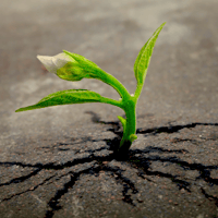 Screenshot 2024-11-26 at 15.34.07